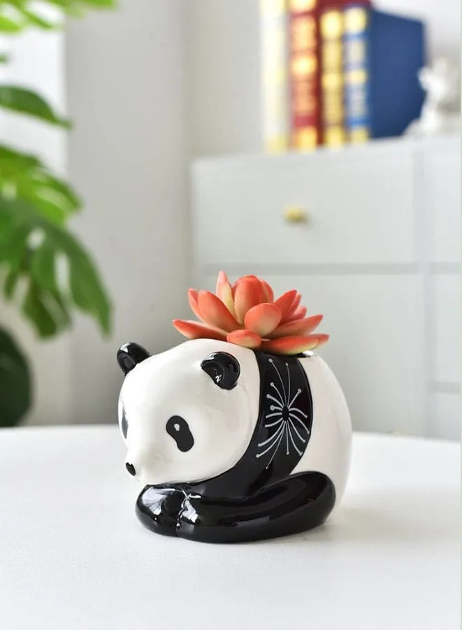 3 Pcs Lovely Panda Succulent Ceramic Indoor Flower Pots Cute Animal Mini Green Plant Basin Plant Pot Home Interior Design Fairy Gardening (Plants NOT Included)