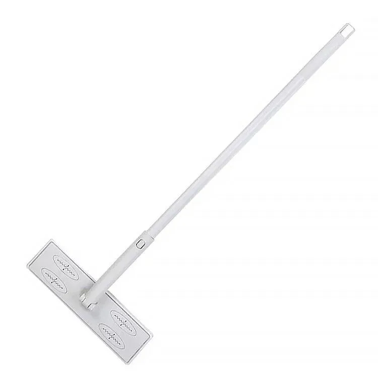 Bathroom brushes Bathroom cleaning floor brushes Tile brushes Long handle brushes Triangular brush heads RP-0000011